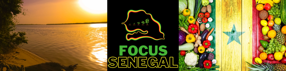 Le Sénégal sous la bannière focusenegal.com