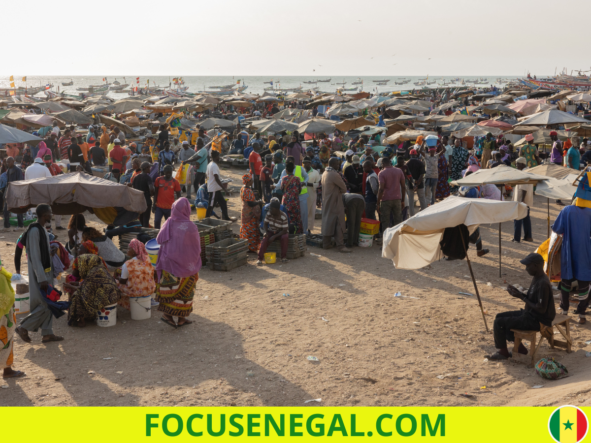 Les principales ressources naturelles du Sénégal