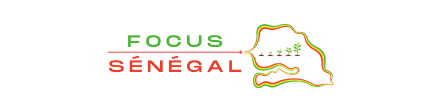logo focusenegal pour le site focusenegal.com