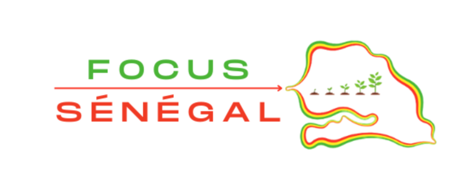 logo focusenegal pour le site focusenegal.com